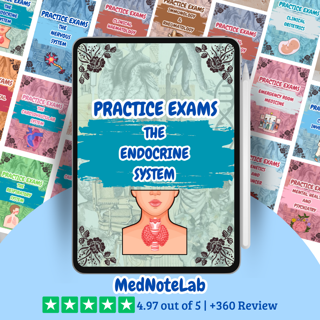 ALL Practice Exams Bundle