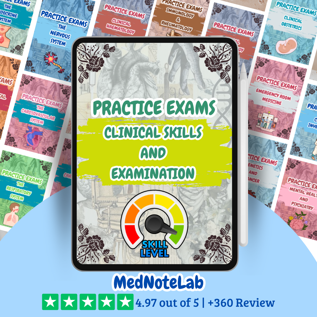 ALL Practice Exams Bundle