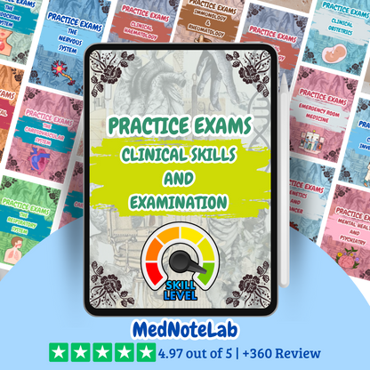 ALL Practice Exams Bundle