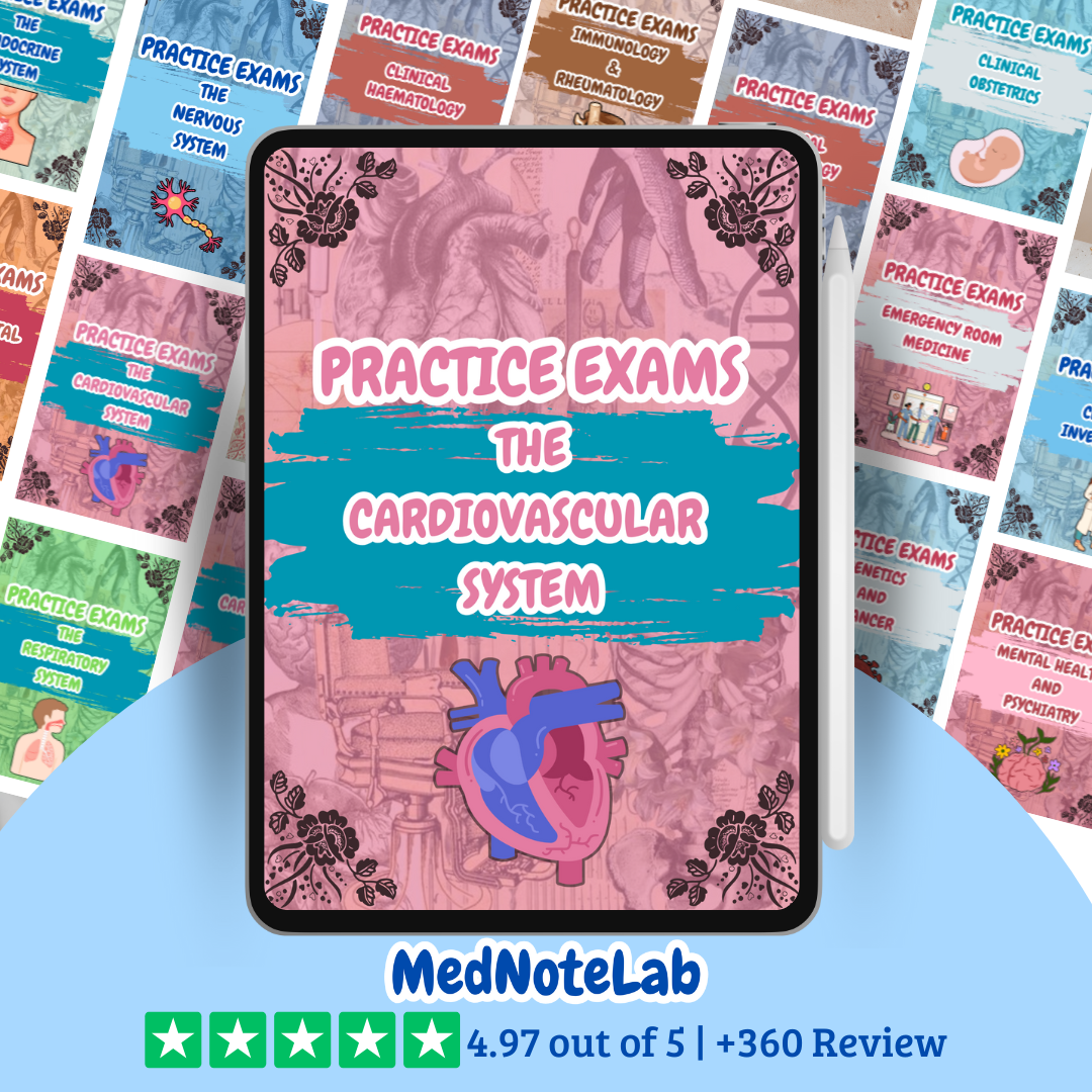 ALL Practice Exams Bundle