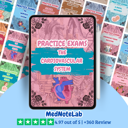 ALL Practice Exams Bundle