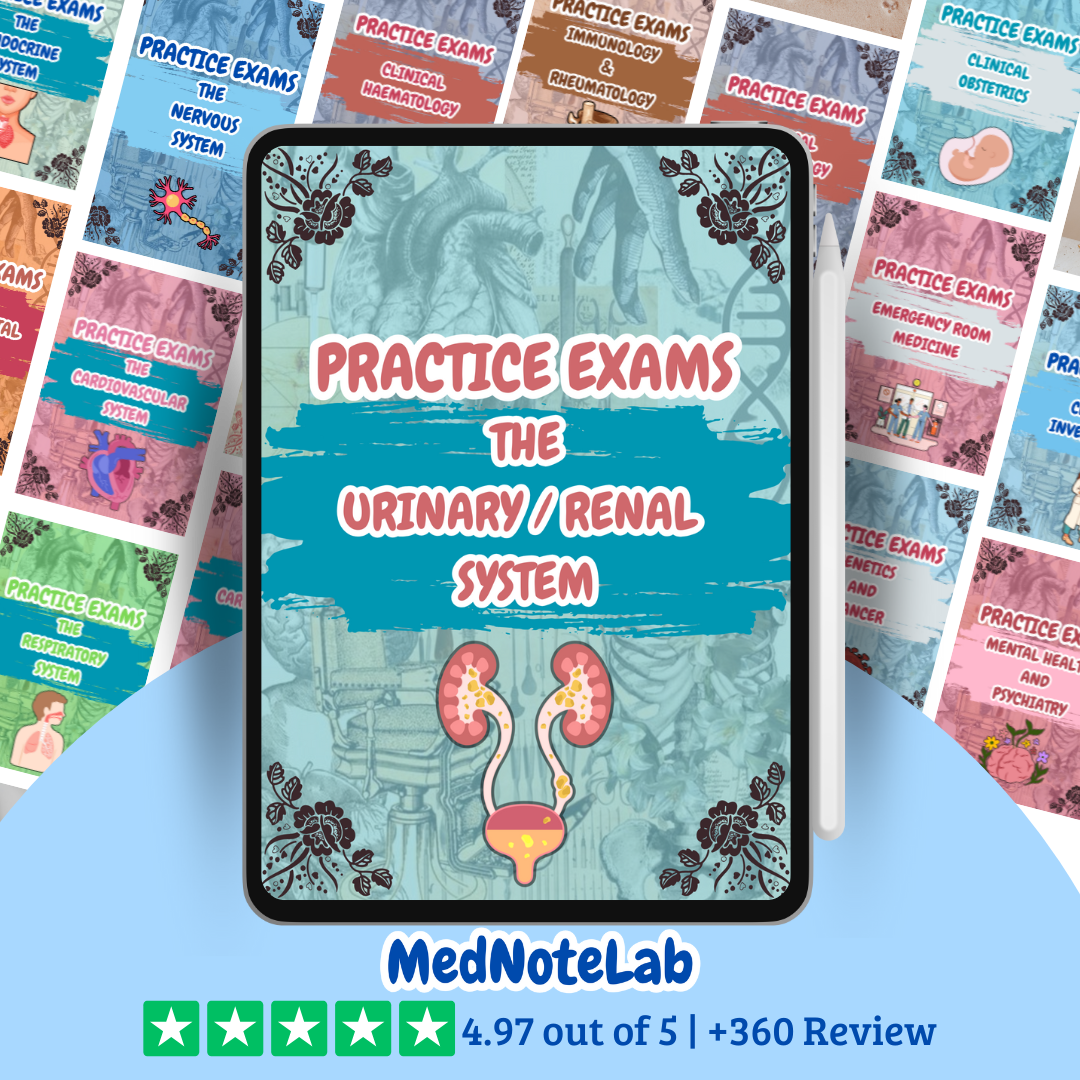 ALL Practice Exams Bundle